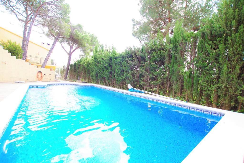 V&v Lloret- Ocells *