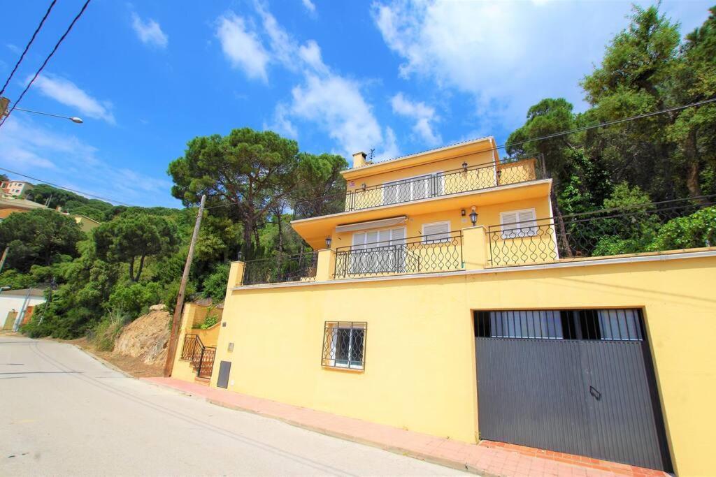 V&v Lloret- Ocells