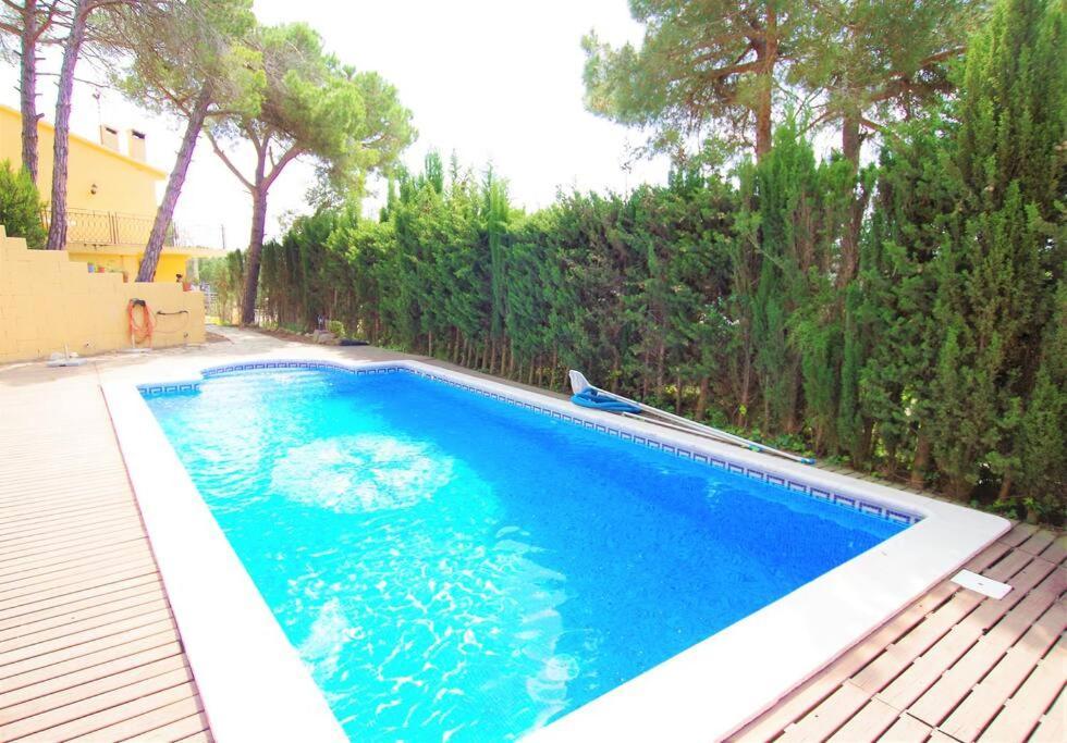 Villa V&v Lloret- Ocells