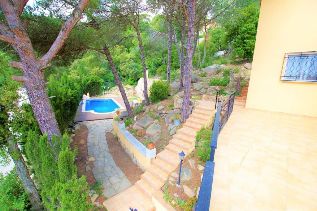 V&v Lloret- Ocells